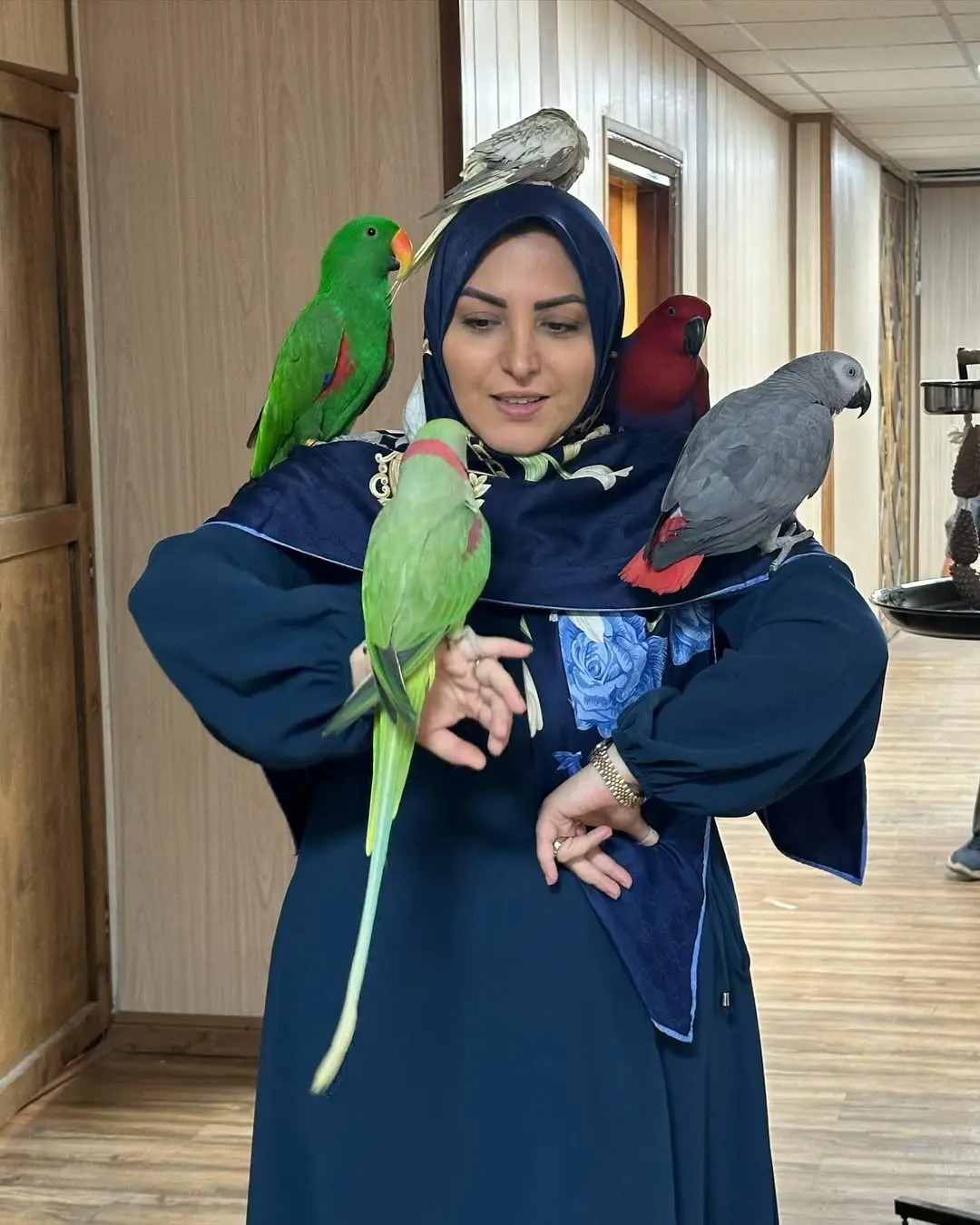 المیرا (6)