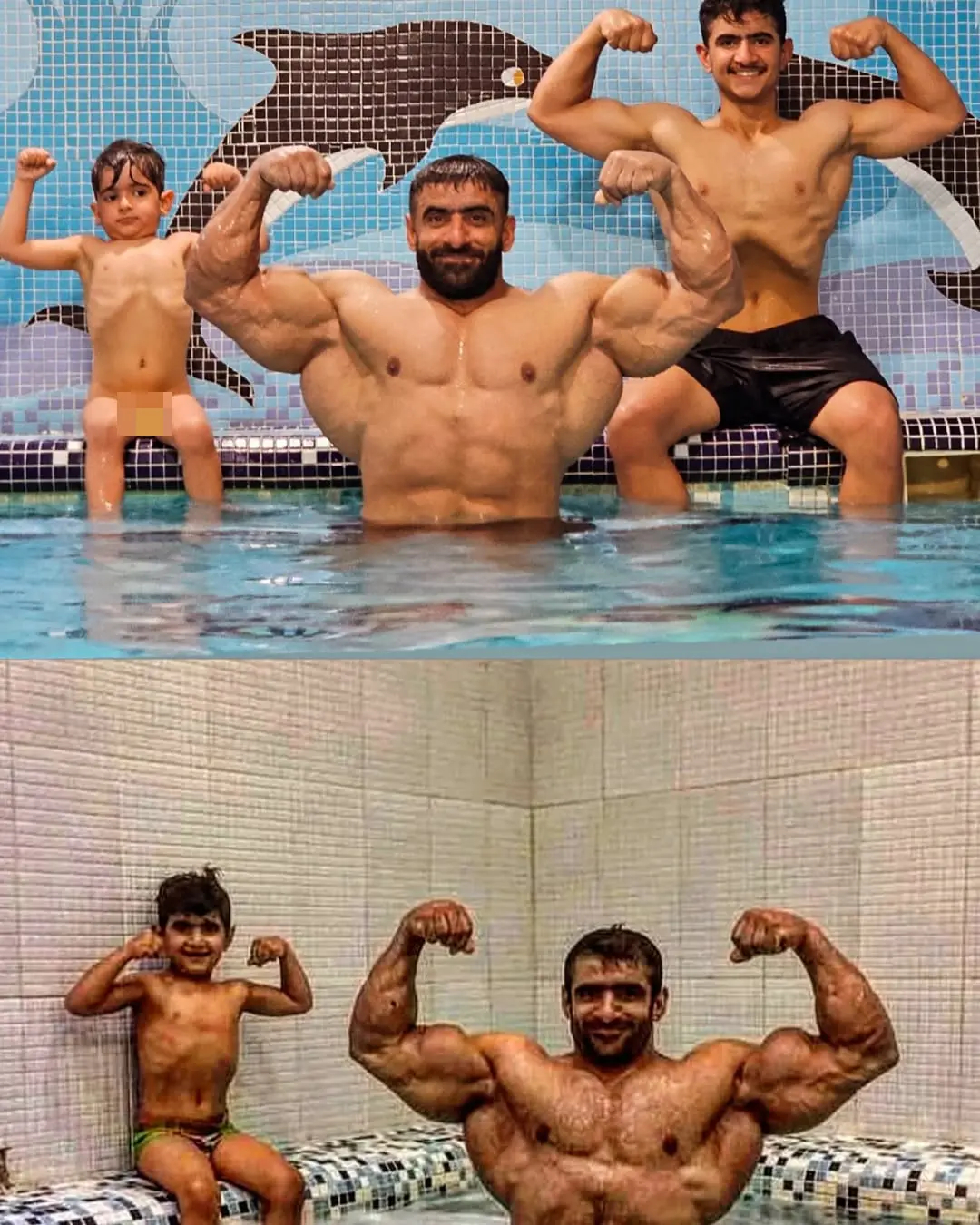 هادی
