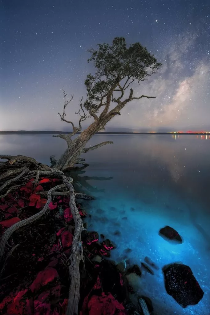 2025-oceania-photo-contest-winners-۱۴-682x1024.jpg