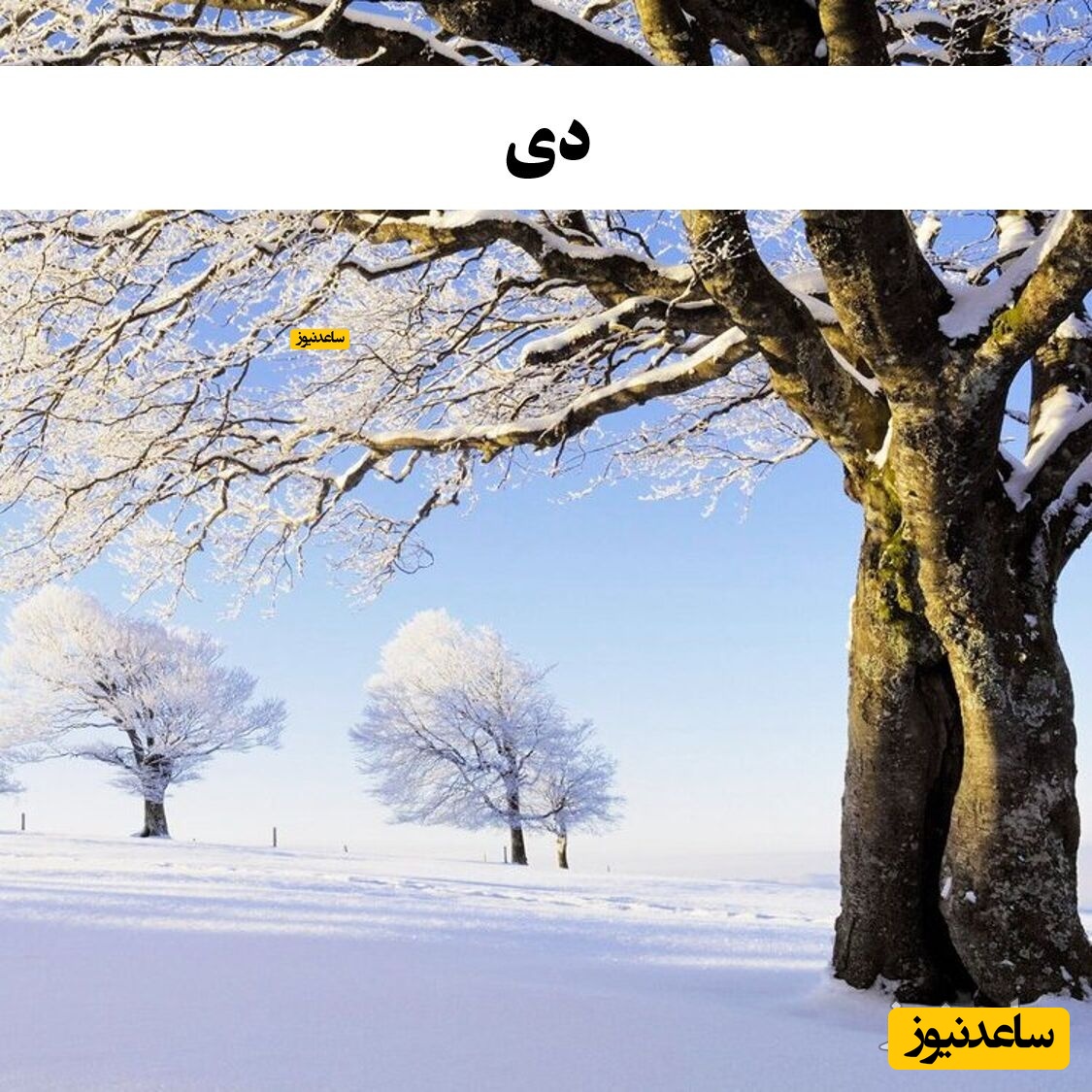 دی