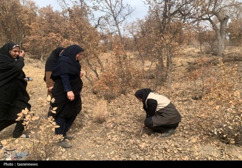 مادر , اخبار استان کهگیلویه و بویراحمد , 