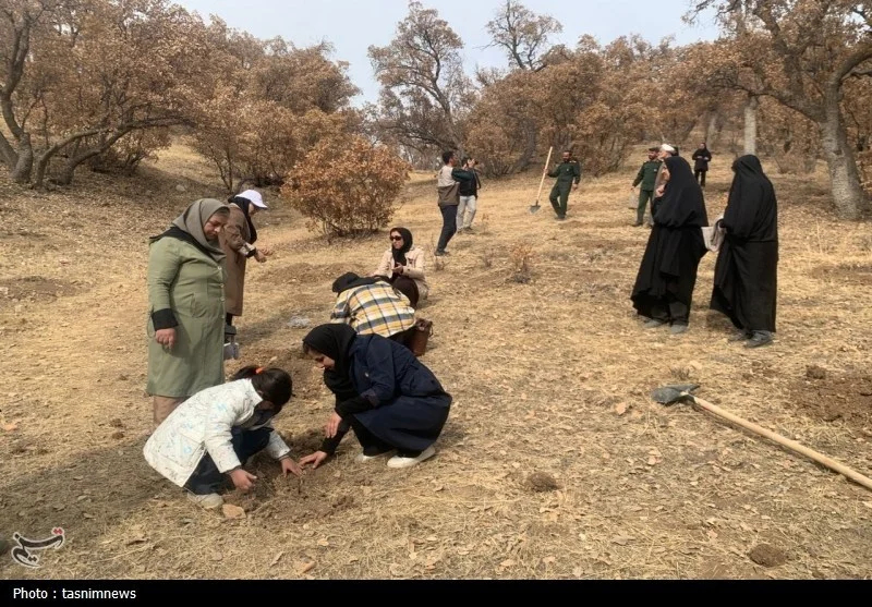 مادر , اخبار استان کهگیلویه و بویراحمد , 