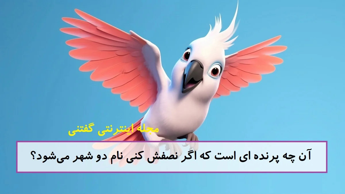چیستان نصف پرنده و نام دو شهر
