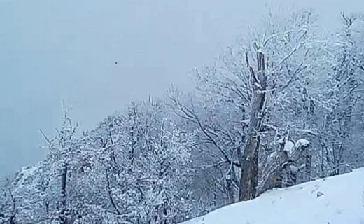 روزهای آخر پاییزی در مازندران؛ برفی، بارانی و شاید سیلابی