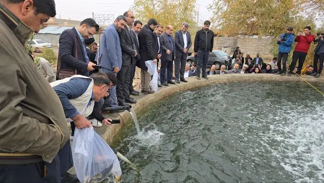 هدف‌گذاری ایجاد ۵۰۰۰ شغل پایدار در منطقه سیستان
