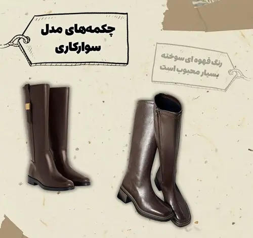 کفش‌های همیشگی