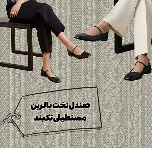 کفش‌های همیشگی