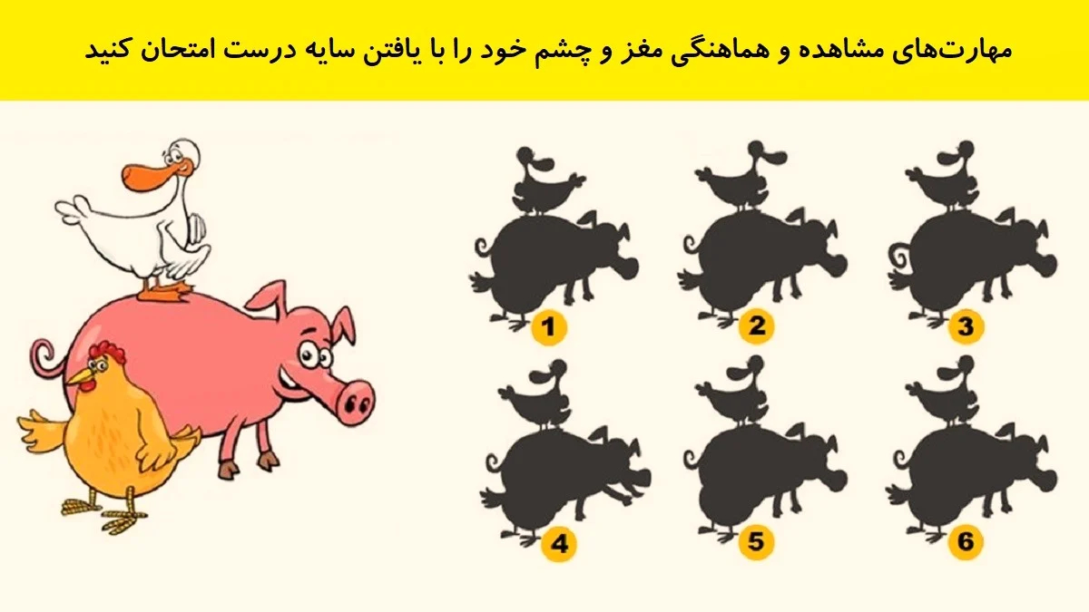 تست هوش یافتن سایه درست