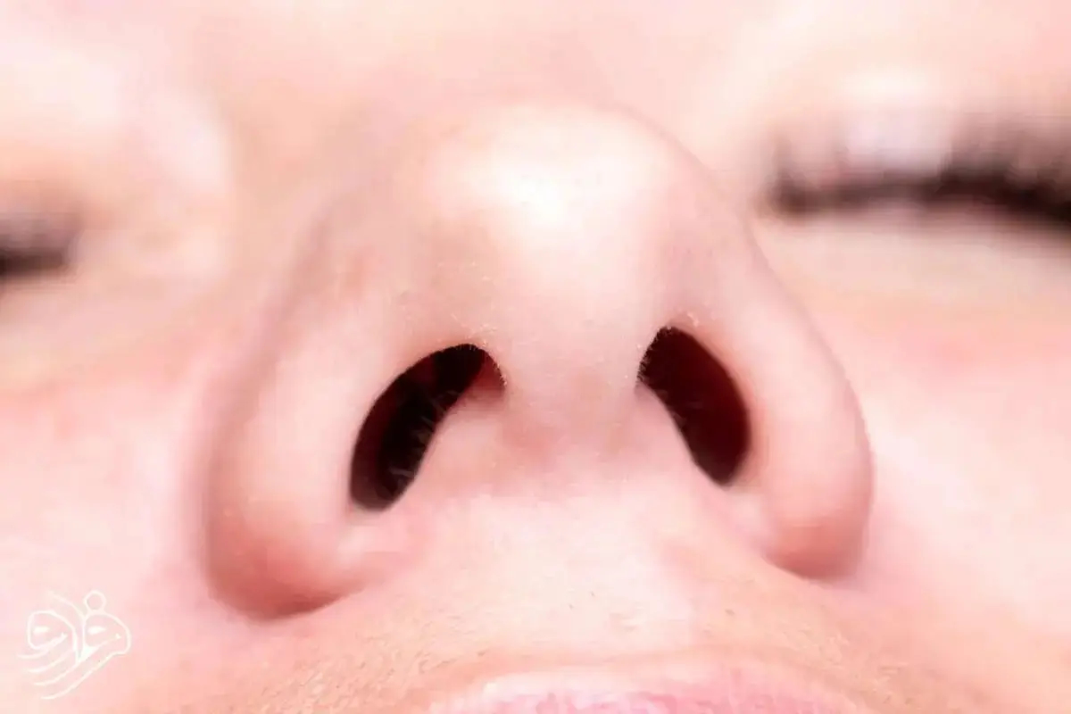 4165