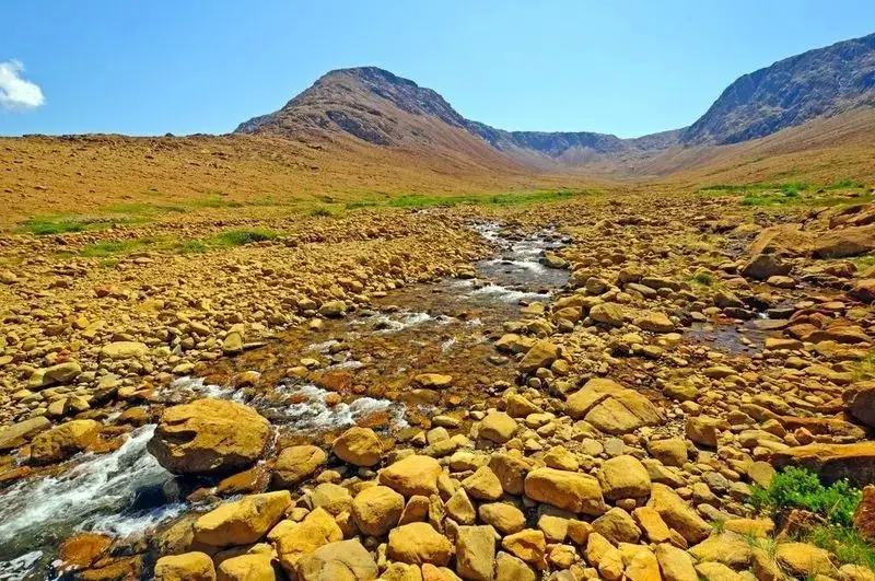 جبه زمین در پارک ملی Gros Morne