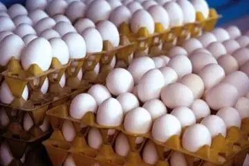 6342976