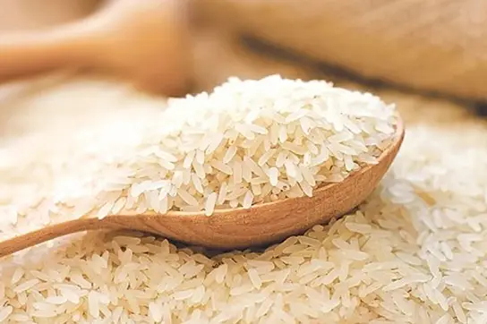 rice-shop