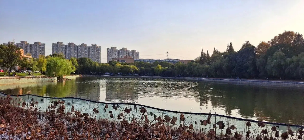از جاده ابریشم تا هوش مصنوعی؛ یادداشت‌های یک سفر پژوهشی به چین