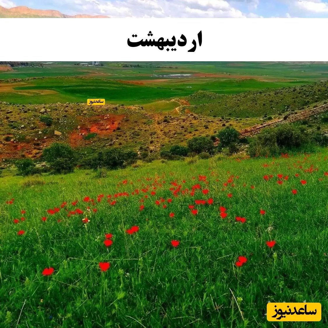 اردیبهشت