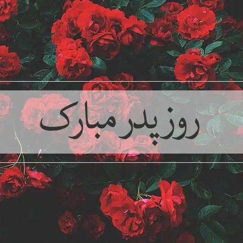 عکس خاص و ویژه برای روز پدر