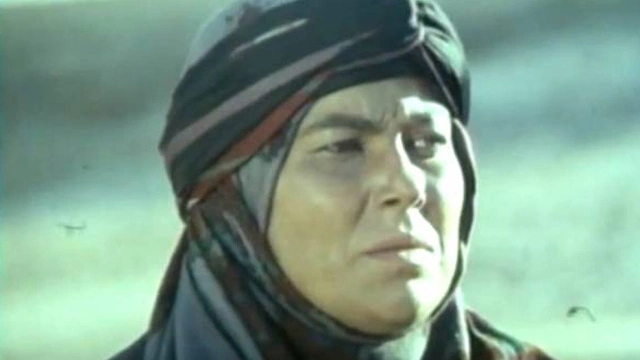 مهرانه مهین‌ترابی