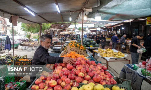 راهکار طلایی سرپرست جهاد کشاورزی فارس برای جلوگیری از کمبود کالا در آستانه مناسبت‌ها