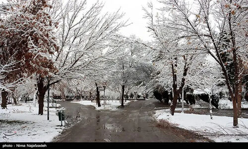 بارش‌های زمستانی در فارس؛ انسداد راه 6 روستا و فاجعه مرگ دو جوان در لارستان
