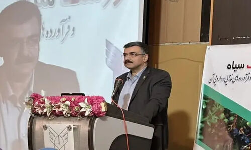 بایبوردی هشدار داد: بدون تغییر الگوی کشت، آینده کشاورزی پایدار در خطر است!
