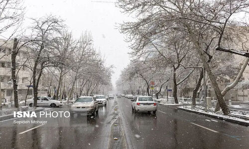 ثبت شوکه‌کننده بیش از ۲۵۰ تصادف در ۲۴ ساعت گذشته مشهد؛ هشدار پلیس به شهروندان!