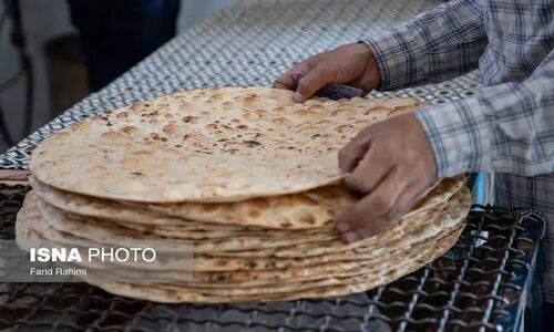 فعالیت چشمگیر ۱۱۷ نانوایی در زنجان با نان کامل؛ تحولی در سفره‌های استان