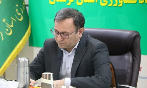 رکوردشکنی تامین مرغ و برنج شب یلدا در لرستان؛ بازار اشباع شده است!