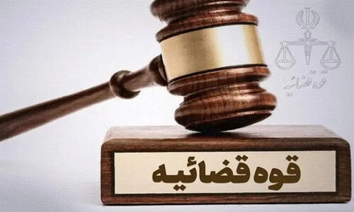 پلمب کارگاه مرغ‌فروشی غیرمجاز؛ فعالیت اتباع غیرمجاز متوقف شد!