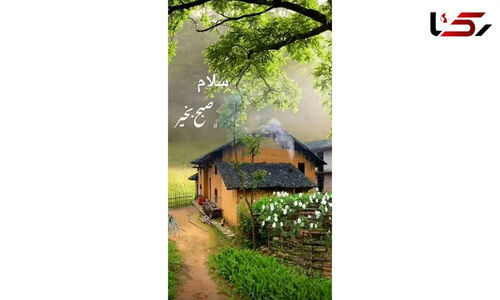 فال روزانه ۵ آذر؛ توصیه‌های ویژه برای متولدین فروردین و همه ماه‌ها