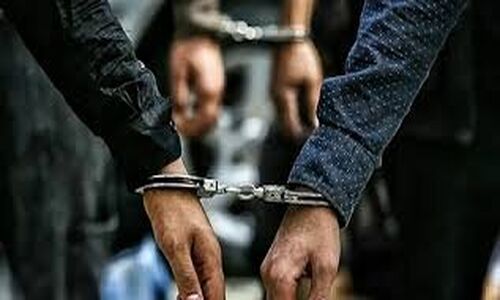 بازداشت غیرمنتظره بازیگران در مهمانی خصوصی؛ افشاگری تکان‌دهنده یک کارگردان مشهور