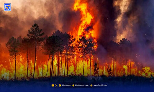 آتش‌سوزی در جنگل‌های هیرکانی ساری و نکا در کمتر از ۱۰ ساعت مهار شد!