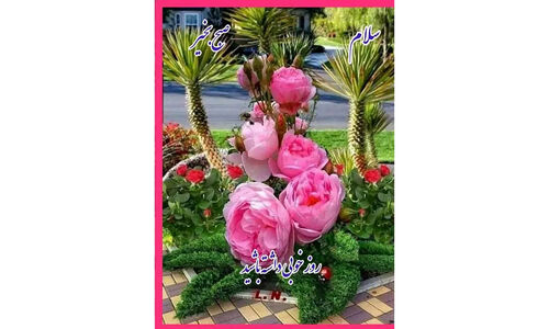 فال ابجد 11 آذر؛ رازهای جالب حروف الفبای فارسی که آینده شما را می‌سازد!