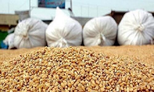 معاون استاندار فارس از شتاب‌بخشی به توزیع ۱۳ هزار تن نهاده دامی خبر داد!