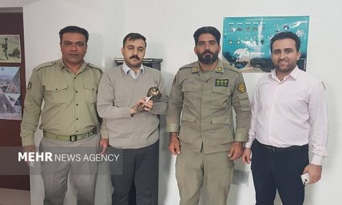 پرنده شکاری مصدوم به محیط زیست بوشهر تحویل داده شد؛ بازگشت به آغوش طبیعت در انتظار است!