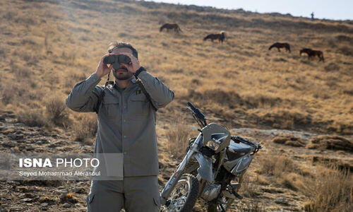 کمبود شدید محیط‌بان در خراسان رضوی؛ آینده حفاظت از طبیعت در خطر است!