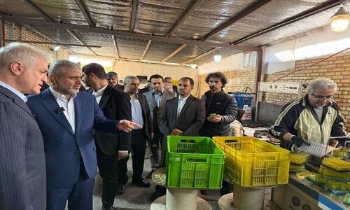 رئیس کل دادگستری تهران: ورود فوری دستگاه‌های قضائی و نظارتی برای نجات تولید ضرورت دارد!