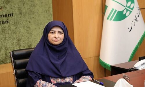 زنان؛ قهرمانان ناپیدای حفاظت از محیط زیست در روزهای بحران