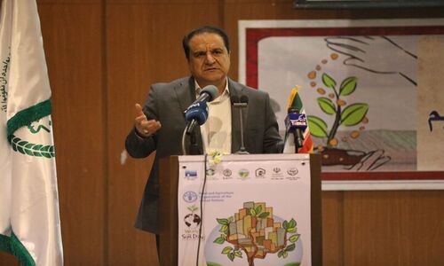 کرمی خبر داد: تکمیل فوری ۱۶ ایستگاه پمپاژ آب کشاورزی ایلام در دستور کار دولت