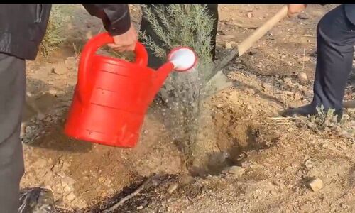 پویش مردمی نهال‌کاری به مناسبت روز دانشجو
