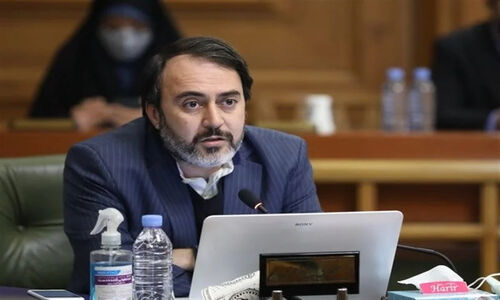 درخواست عضو شورای شهر برای اجرای فوری مصوبه ثبت درختان ارزشمند تهران