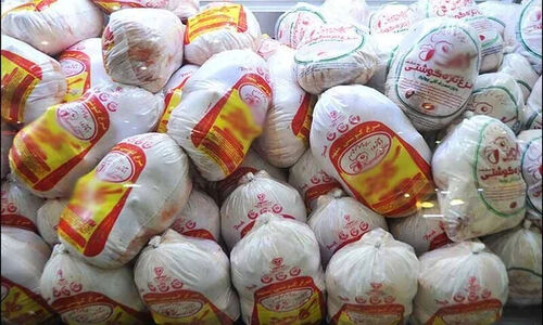 آغاز نقدی گوشت مرغ منجمد در کرمانشاه با نرخ ۱۳۴ هزار تومان