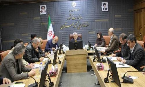 ثبت بیش از ۴۸ هزار مرزنشین کردستان در سامانه مبادلات مرزی