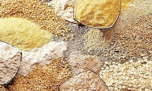 کرمانشاه در مسیر شکوفایی کشاورزی؛ توزیع چشمگیر ۳۸ هزار تن نهاده دامی و هزاران تن کود و بذر اصلاح‌شده!