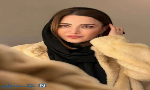 رویا میرعلمی از تعقیب دزدهای شبانه تا ماجرای هولناک در تاریکی خیابان!
