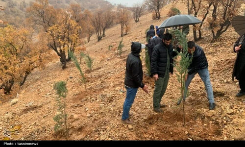 پویش نهالکاری در سایه مادر در یاسوج با تولید ۸۰۰ هزار نهال؛ حضور پرشور زنان و مردم