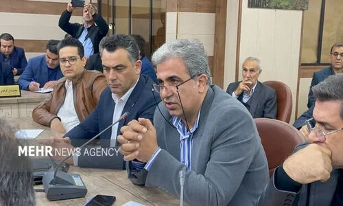 غفاری هشدار داد؛ محدودیت‌های صادراتی چگونه بازار را به هم ریخت؟