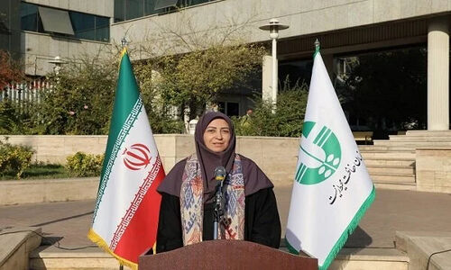 نشست گرم معاون رئیس‌جمهور ایران با وزیر اقلیم نروژ برای نجات زمین از بحران پلاستیک!