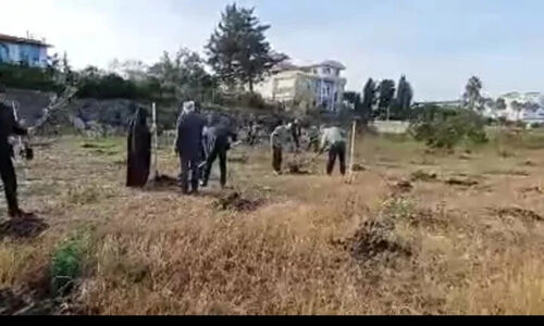 پویش نهالکاری «در سایه مادر» با حضور گسترده مردم در ساحل مازندران رونق گرفت