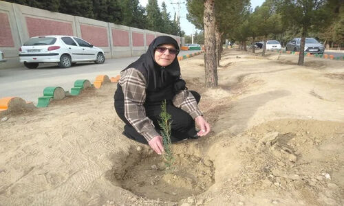 پویش نهال‌کاری روز مادر در سمنان؛ وقتی درختان، یادبود مادران شهید می‌شوند!