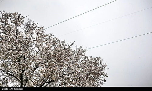 هشدار یخبندان در اصفهان؛ دمای هوا تا 8 درجه سقوط می‌کند!