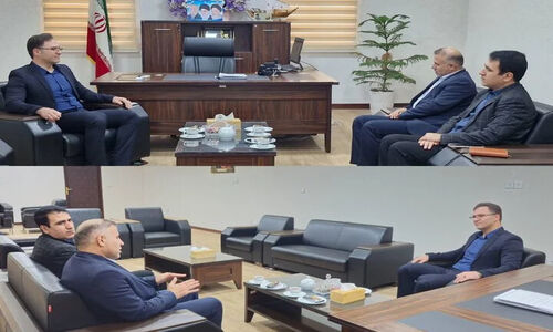 فرماندار تنگستان: راز توسعه پایدار در هم‌افزایی همه دستگاه‌هاست!